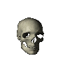 skulspin.gif